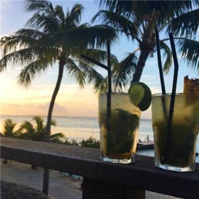 特技车队加强版